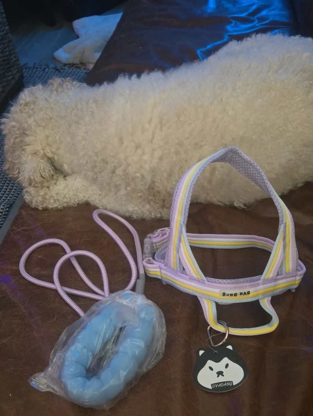 Pets  Pastel Stripe Harness with Blue Jump Rope -